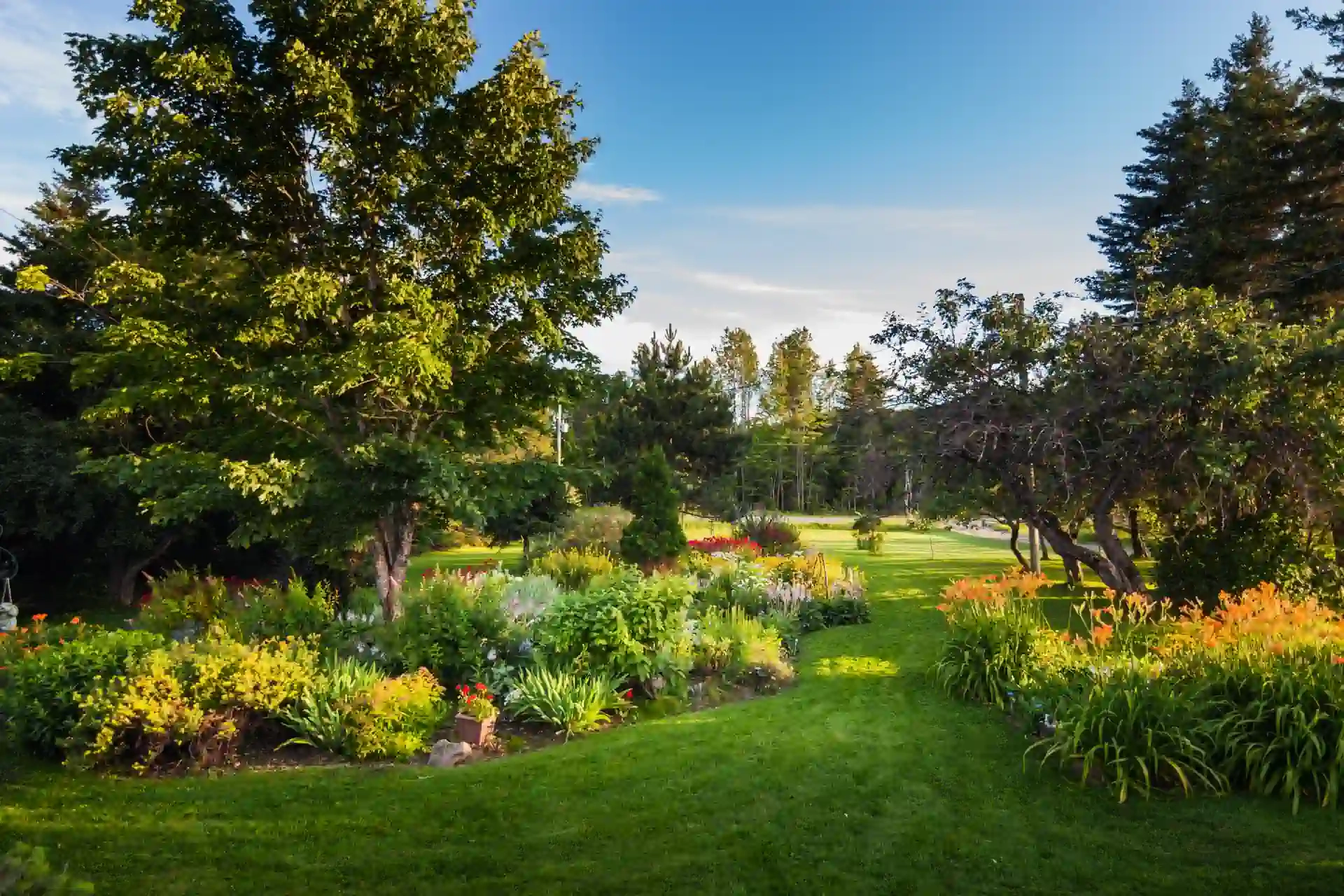 Beautiful Lawncare services | New Albany Ohio